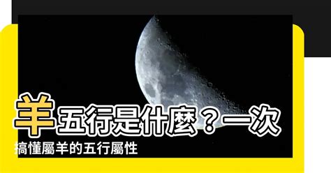 屬羊的五行|生肖羊五行屬什麼？揭秘羊羊們的個性與命運！｜魔幻水